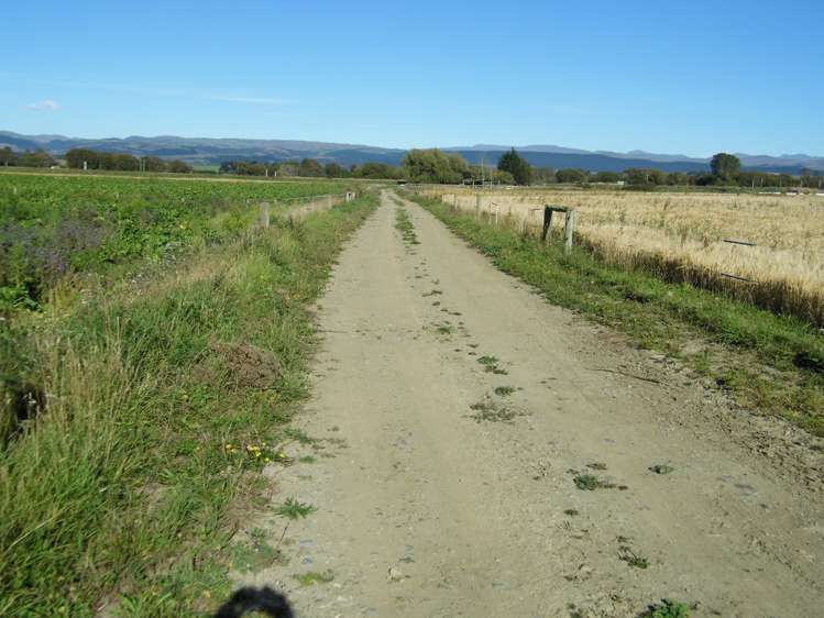 Clarks Field, Alma-Maheno Road Reidston_8