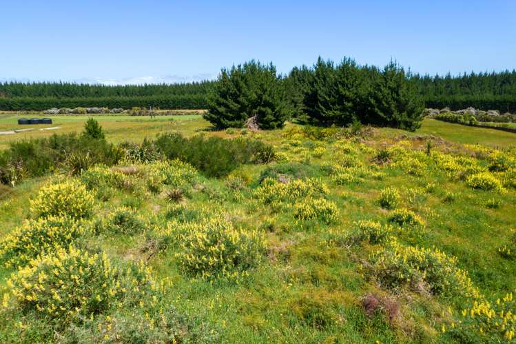 23 Kanuka Drive Waitarere_3