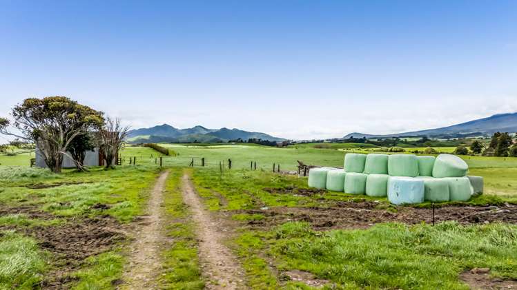 165 Oxford Road Okato_8