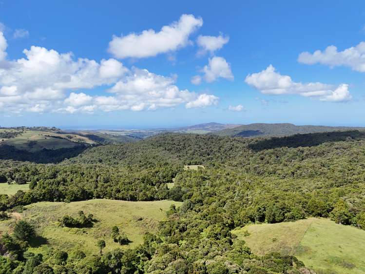 870 Marlborough Road Dargaville Surrounds_19