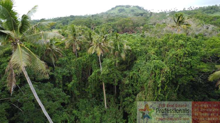 Address withheld Taveuni_15