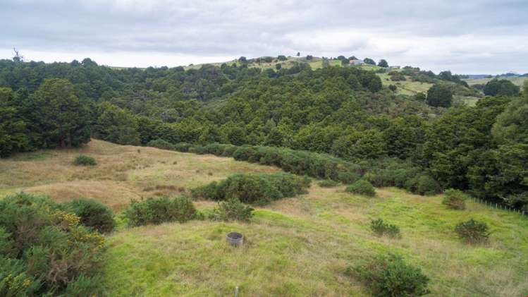 87 Kiwi Lane Kaiwaka_4