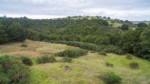 87 Kiwi Lane Kaiwaka_4