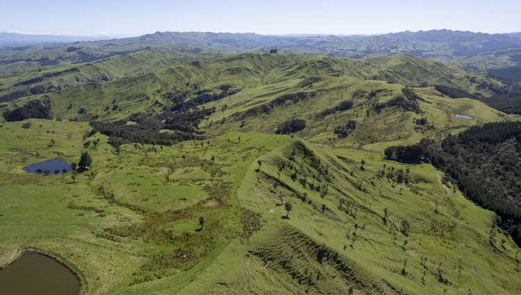 7 Hikawera Road Hinakura_9