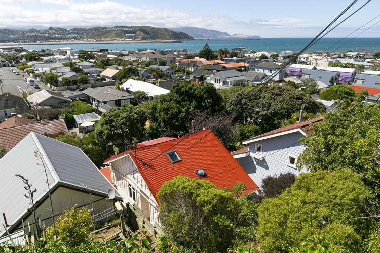 159 Sutherland Road Lyall Bay_0