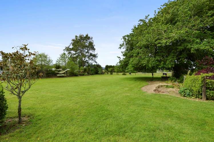 194 Burnside Road Ardmore_9