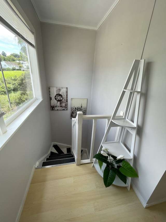 70 Arthur Street Onehunga_3