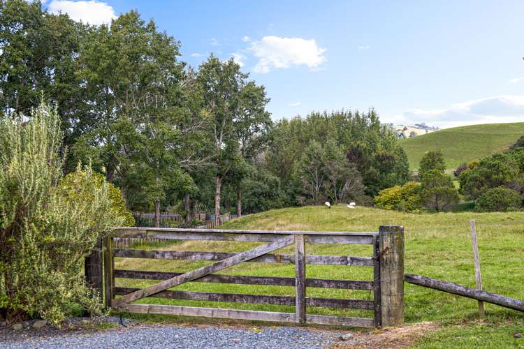 147 Omaha Valley Road Big Omaha_25