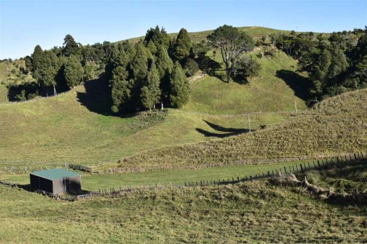 Lot 5/80 Ruatuna Road Waiotahi_6