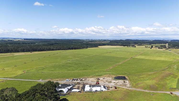 715 Santoft Road Bulls_6