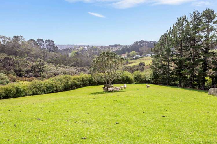 70b Coulter Road Henderson Valley_7