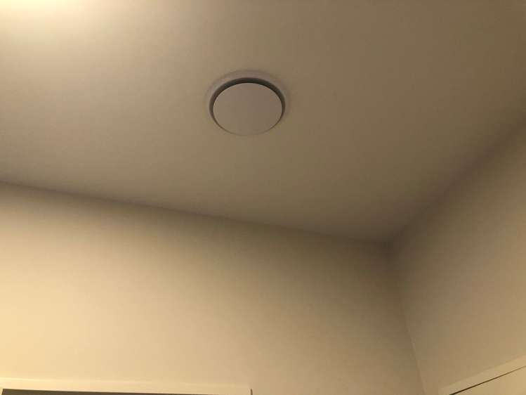 31 Tir Conaill Avenue Flat Bush_8