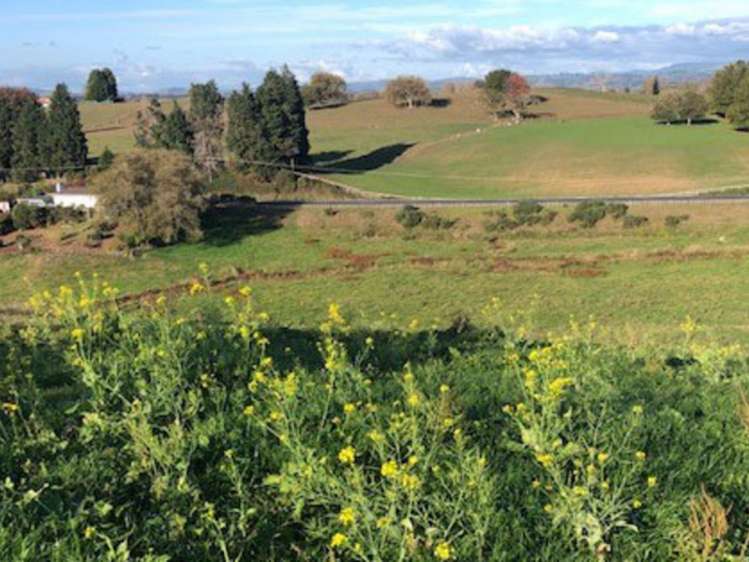 State Highway 3 Waitomo_12