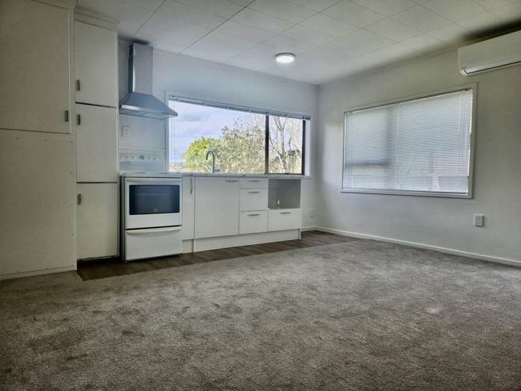 24A Dallas Place New Windsor_1