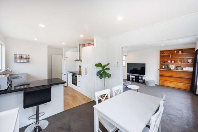 6 Esk Street Roslyn_3