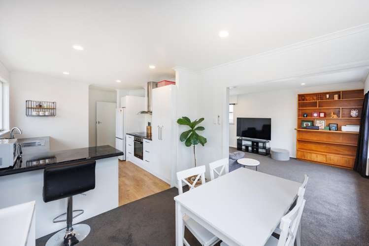 6 Esk Street Roslyn_3