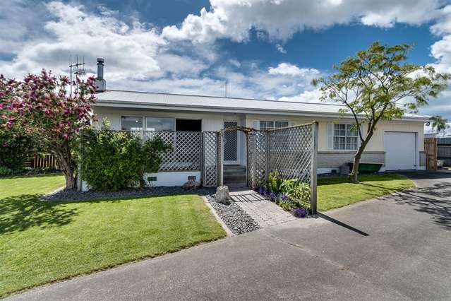 29 Argyll Crescent Tamatea_1