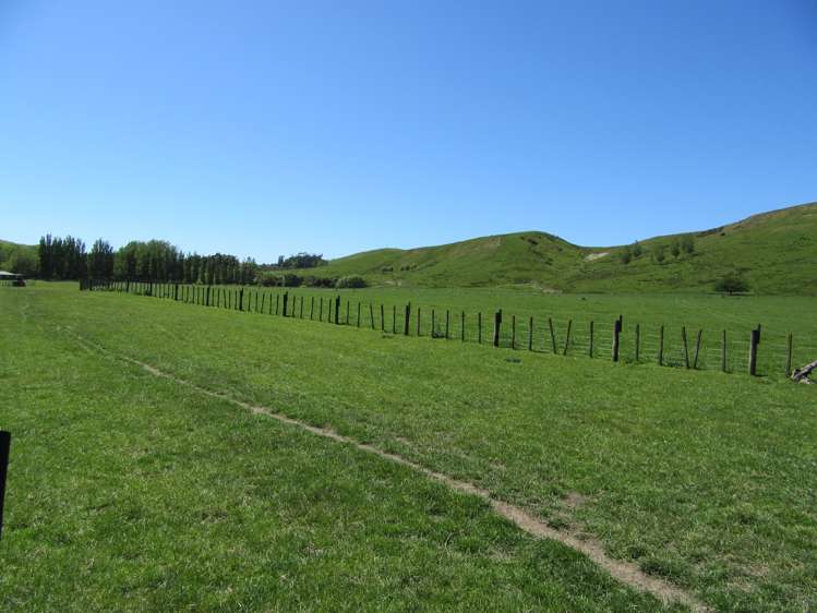 8/3382 Pourerere Road Central Hawkes Bay Coastal_14