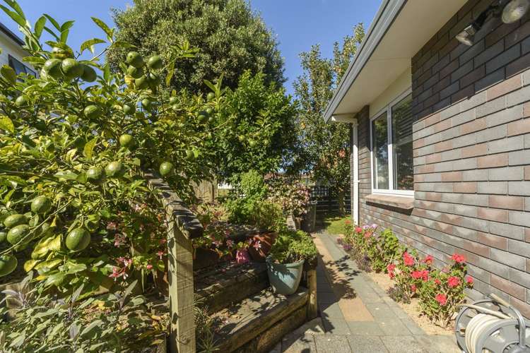 27 Tarata Street Matua_15