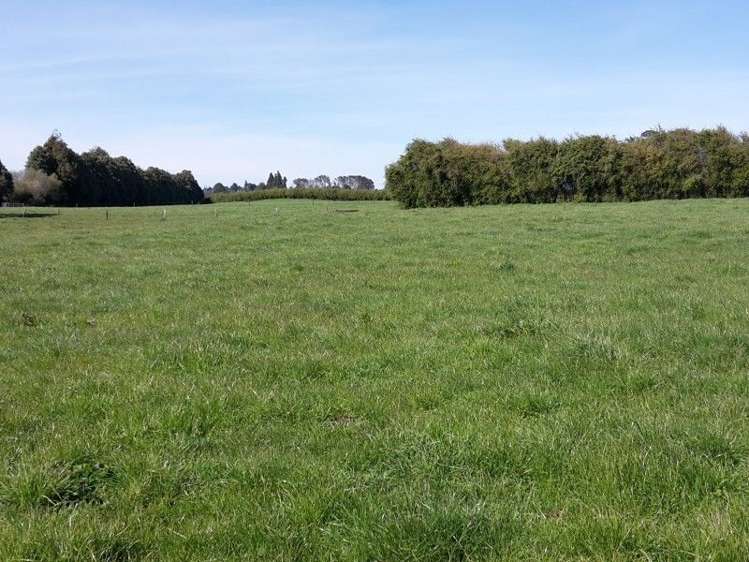 346 Rugby Road Tariki_89