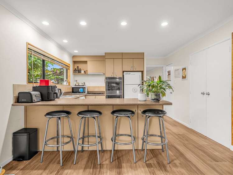 7 Downer Street Helensville_5