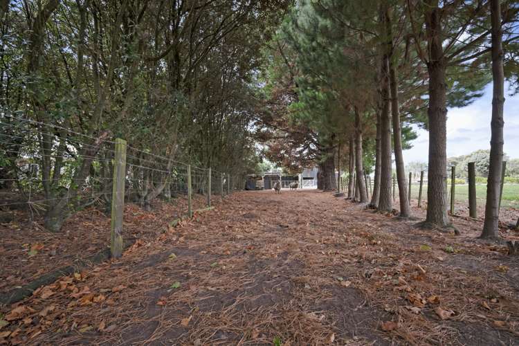 65a Tangimoana Road Ohakea_29