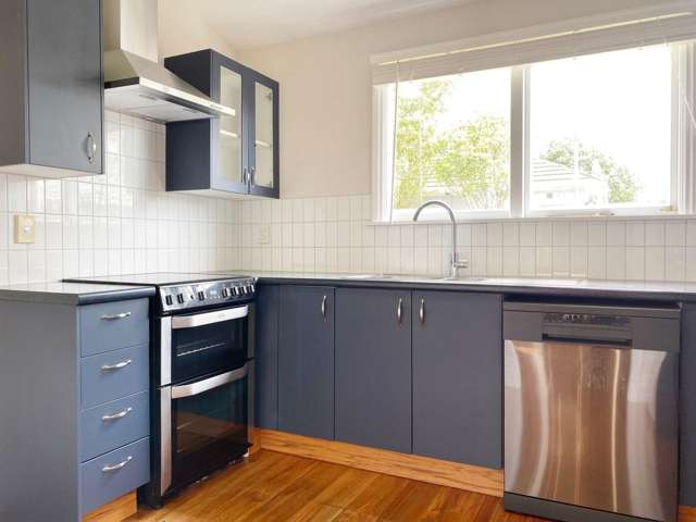 23 Longfellow St Sydenham_1