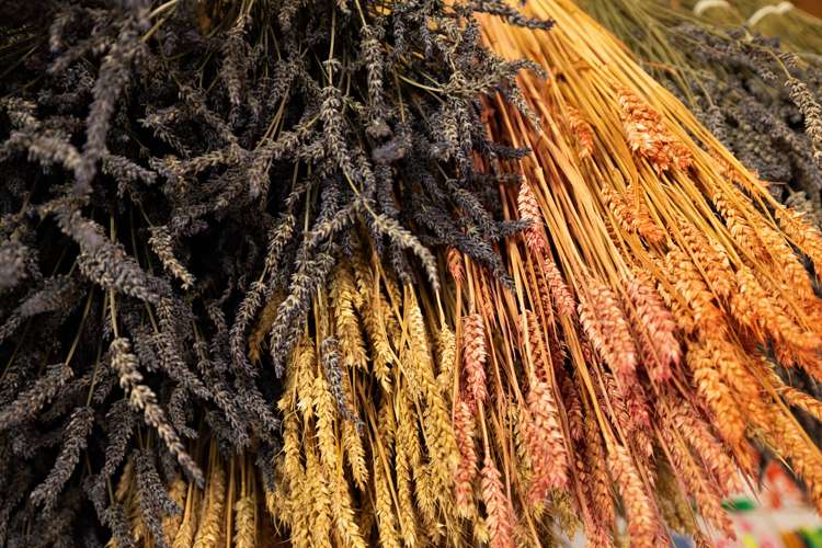 32 Havelock Street Riverton_32