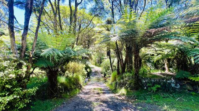 877 Tiki Quarry Road Coromandel_2