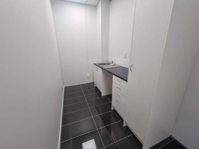 66 Bloomfield Terrace Lower Hutt_2