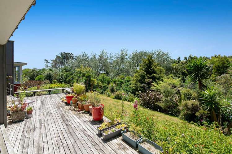 56a Kaipara Coast Highway Helensville_15