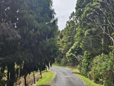 214a Three Oaks Drive_1