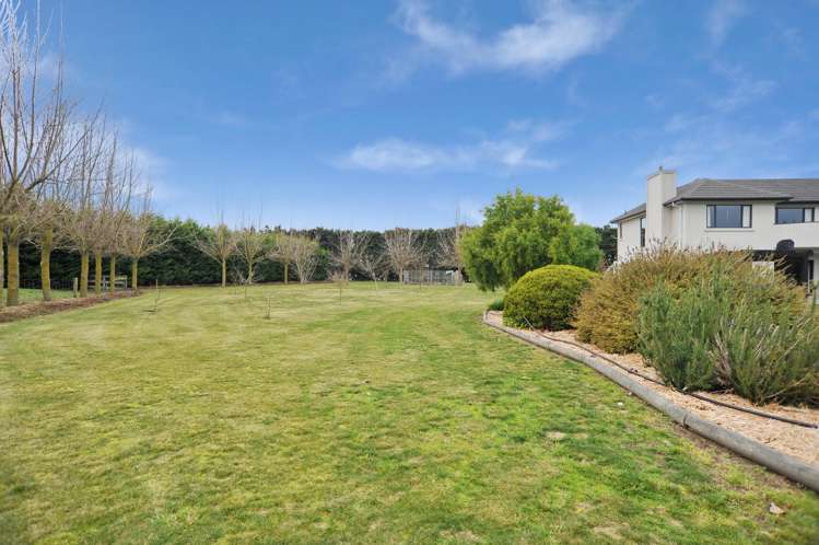 38 Peacock Place Swannanoa_27