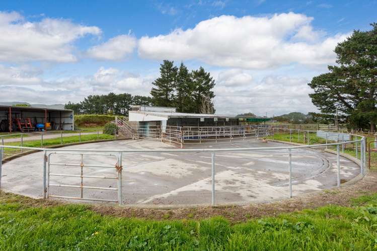 334 Okauia Springs Road Okauia_8