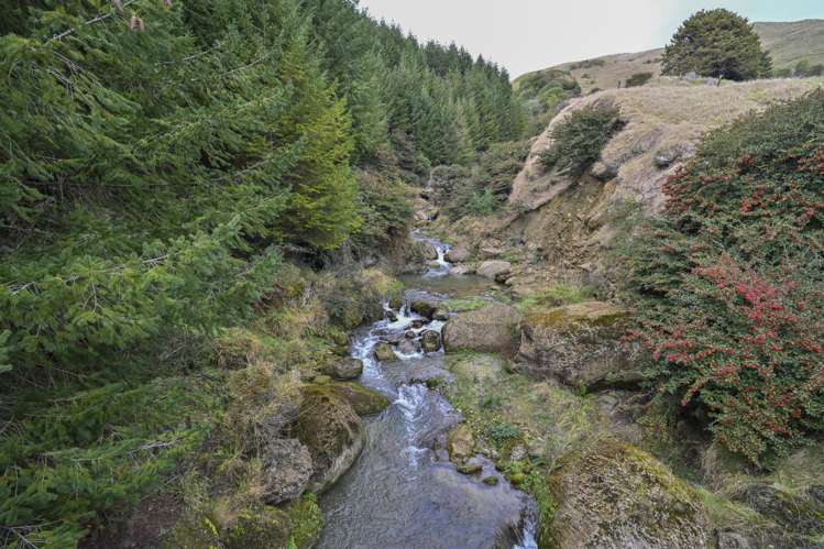 1015 Waitara Road Te Haroto_13