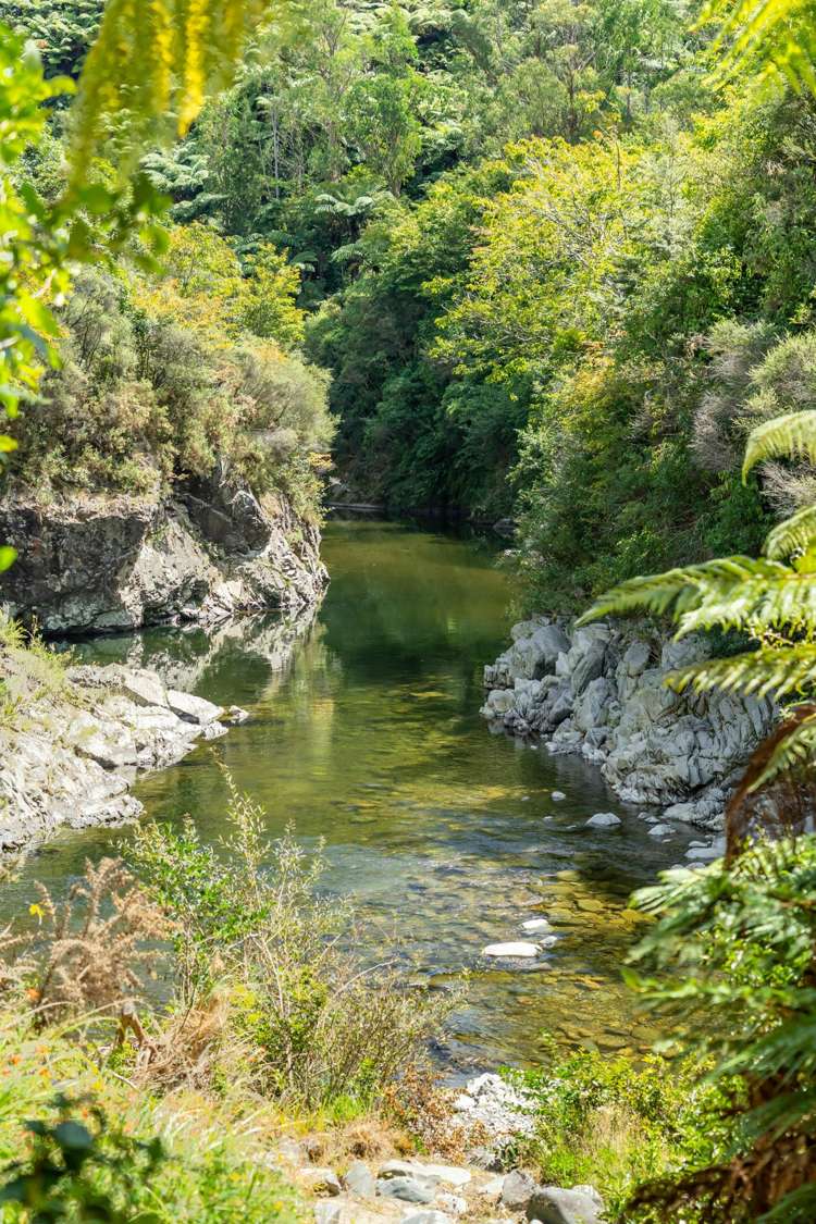 1029b Akatarawa Road Akatarawa_24