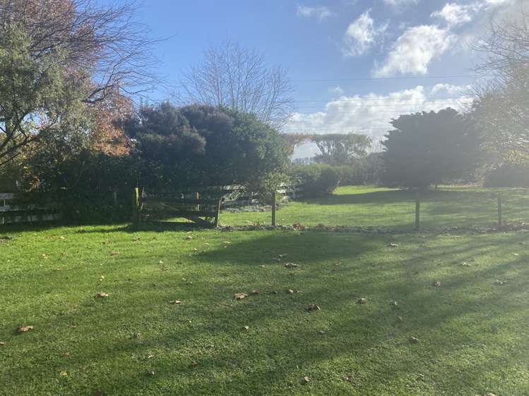 331 Kairanga Bunnythorpe Road Bunnythorpe_11