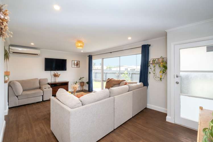 1 Ripon Place Tamatea_1