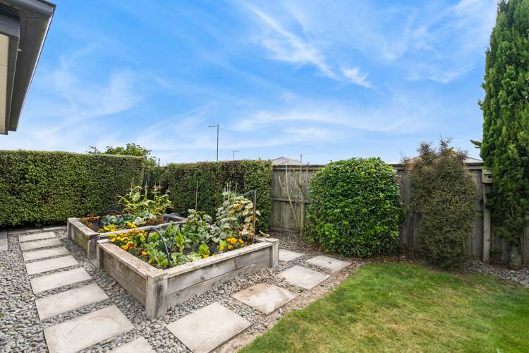 15 George Street Rolleston_20