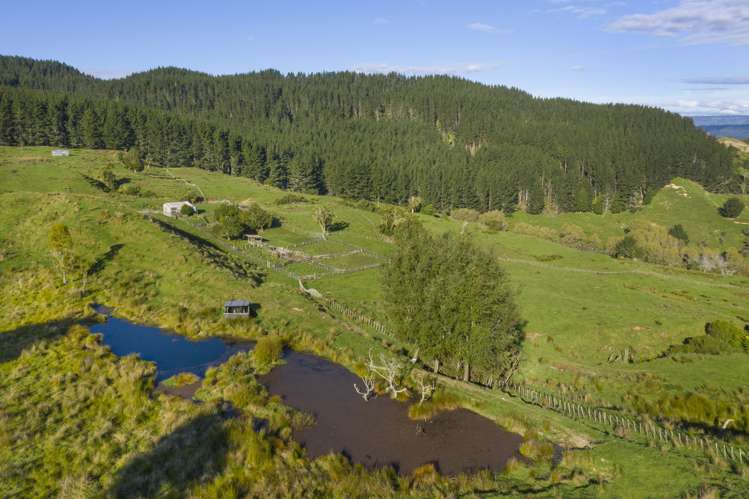 3099 State Highway 4 Te Kuiti_18