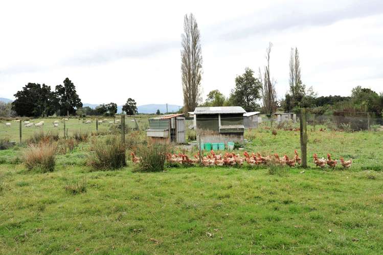 46 Old House Road Upper Moutere_14