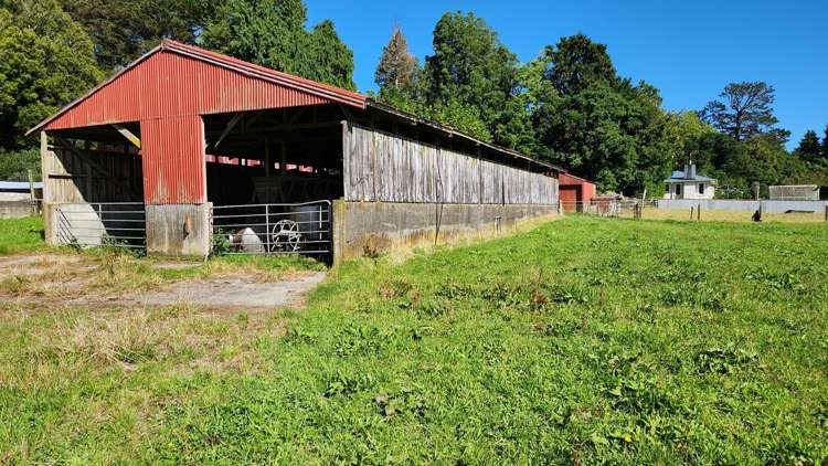 45 and 47 Windsor Road Inglewood_10