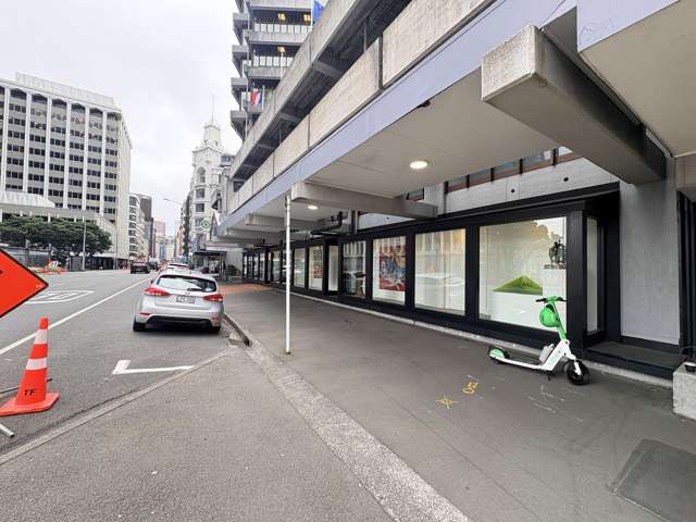 Ground 1/22 Ballance Street Wellington Central_2