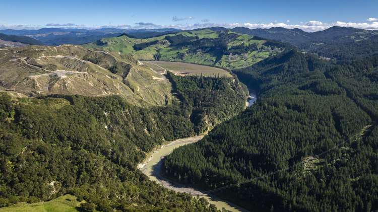 888 Kakariki Farm Road Kotemaori_33