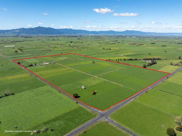 64 No 4 Road Morrinsville_1