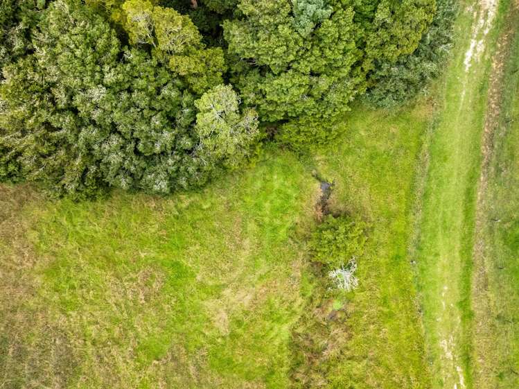 Hayward Road Maungakaramea_12