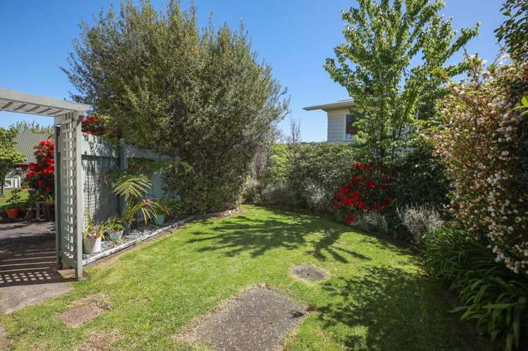107 Franklyn Street Thames-coromandel_22