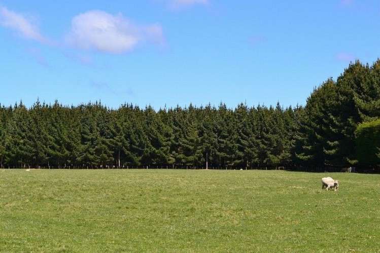 173 Bluff Hill Road Waianakarua_17