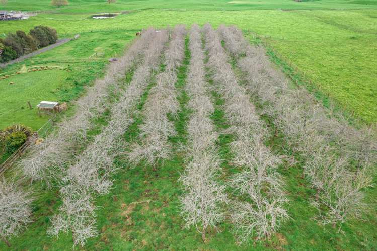 110 Kells Lane Lichfield_20