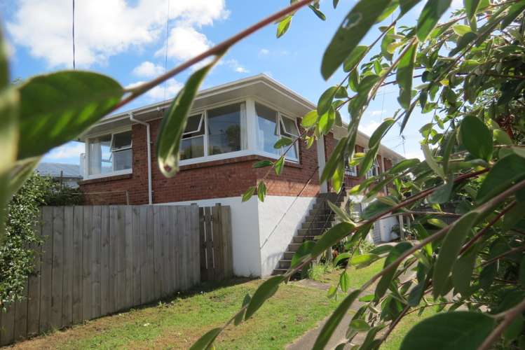 1/6 Hemi Street Narrow Neck_0